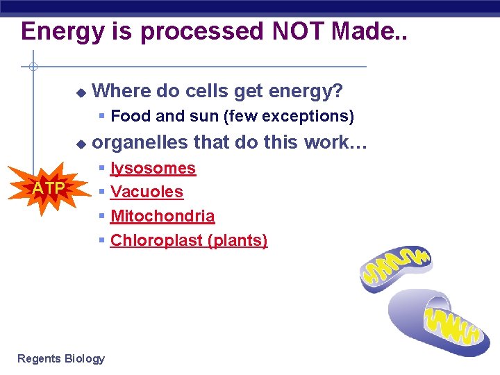 Energy is processed NOT Made. . u Where do cells get energy? § Food