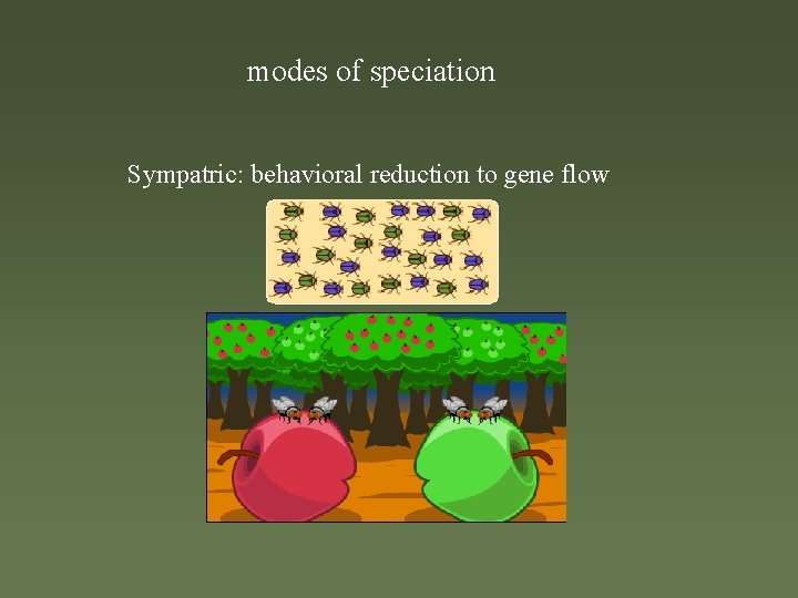 modes of speciation Sympatric: behavioral reduction to gene flow 