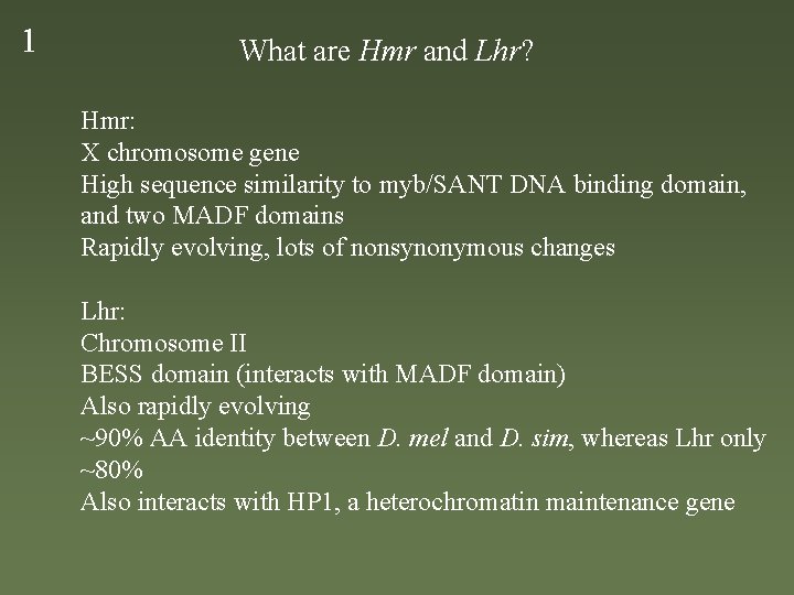 1 What are Hmr and Lhr? Hmr: X chromosome gene High sequence similarity to