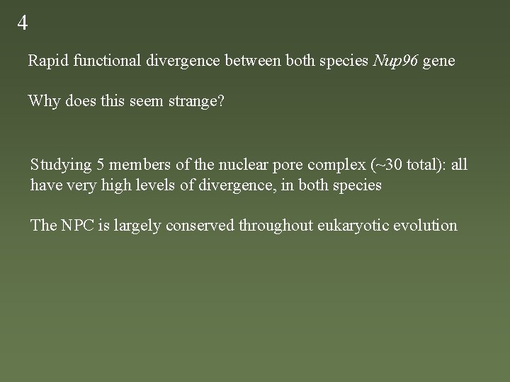 4 Rapid functional divergence between both species Nup 96 gene Why does this seem