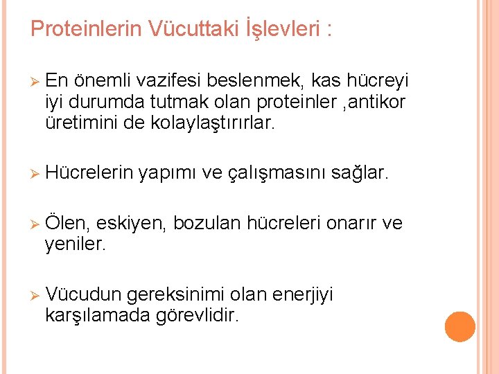 Proteinlerin Vücuttaki İşlevleri : Ø En önemli vazifesi beslenmek, kas hücreyi iyi durumda tutmak