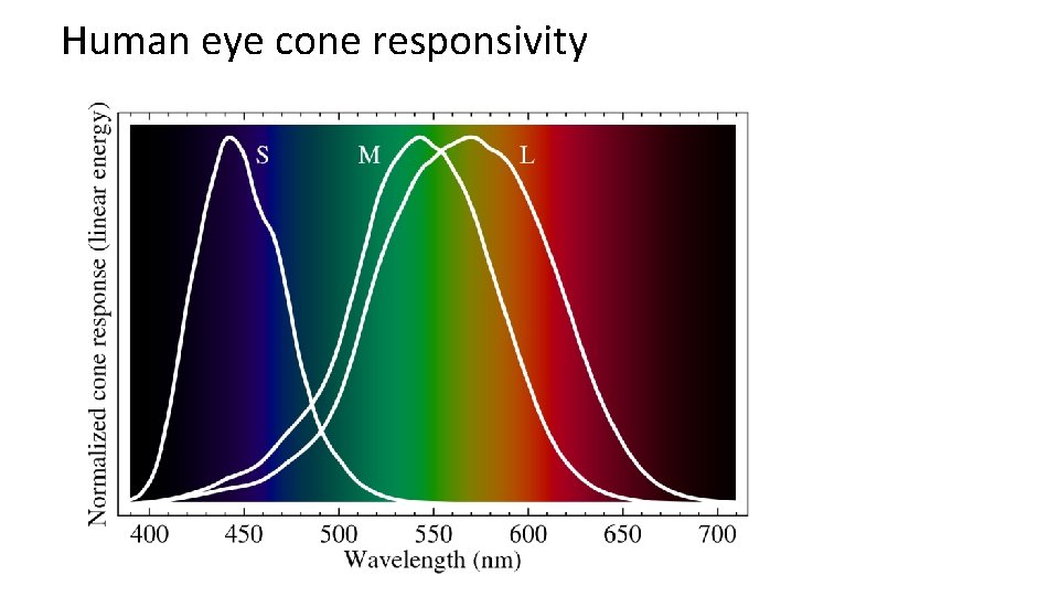 Human eye cone responsivity 