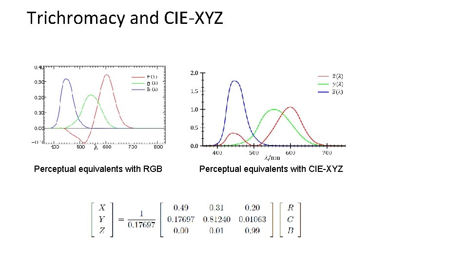 Trichromacy and CIE-XYZ Perceptual equivalents with RGB Perceptual equivalents with CIE-XYZ 