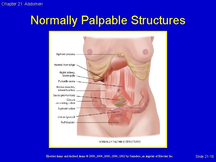 Chapter 21: Abdomen Normally Palpable Structures Elsevier items and derived items © 2008, 2004,