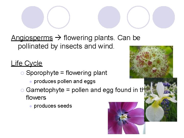 Plant Classification Reproduction Plants can be classified into