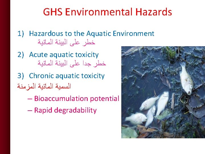 GHS Environmental Hazards 1) Hazardous to the Aquatic Environment ﺧﻄﺮ ﻋﻠﻰ ﺍﻟﺒﻴﺌﺔ ﺍﻟﻤﺎﺋﻴﺔ 2)