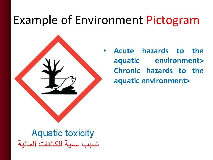 Example of Environment Pictogram • Acute hazards to the aquatic environment> Chronic hazards to