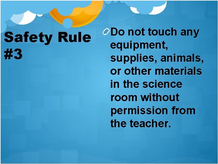 Safety Rule #3 Do not touch any equipment, supplies, animals, or other materials in
