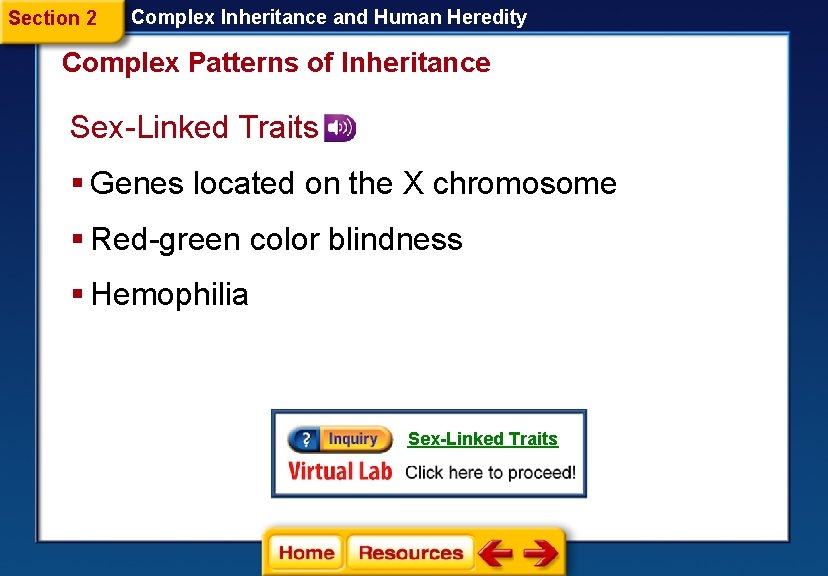 Section 2 Complex Inheritance and Human Heredity Complex Patterns of Inheritance Sex-Linked Traits §