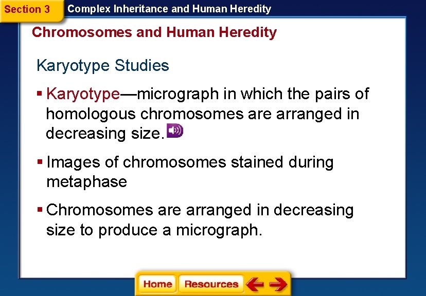 Section 3 Complex Inheritance and Human Heredity Chromosomes and Human Heredity Karyotype Studies §