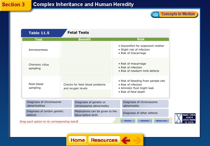 Section 3 Complex Inheritance and Human Heredity 