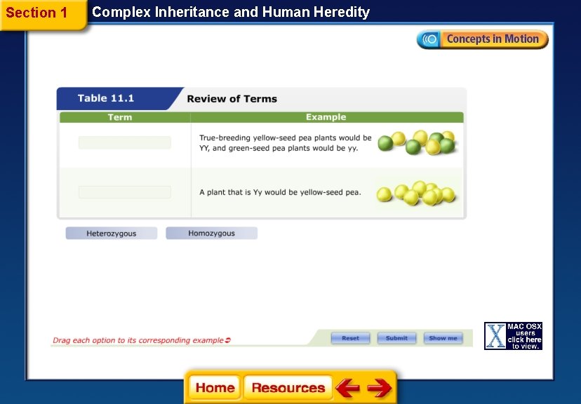 Section 1 Complex Inheritance and Human Heredity 