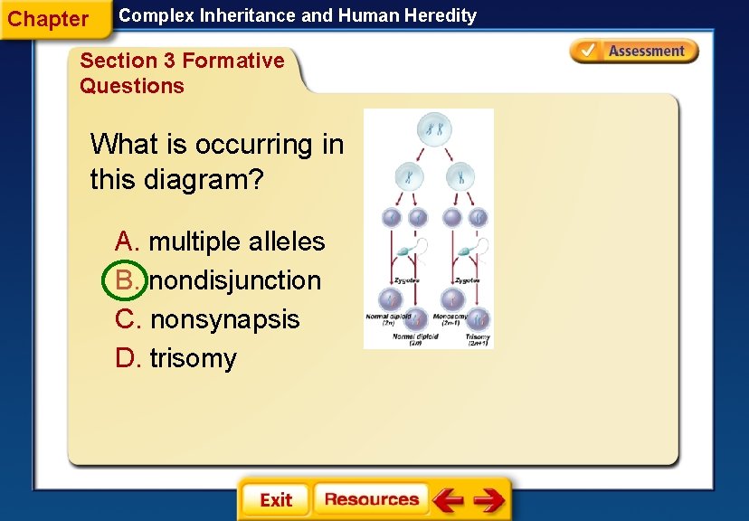 Chapter Complex Inheritance and Human Heredity Section 3 Formative Questions What is occurring in