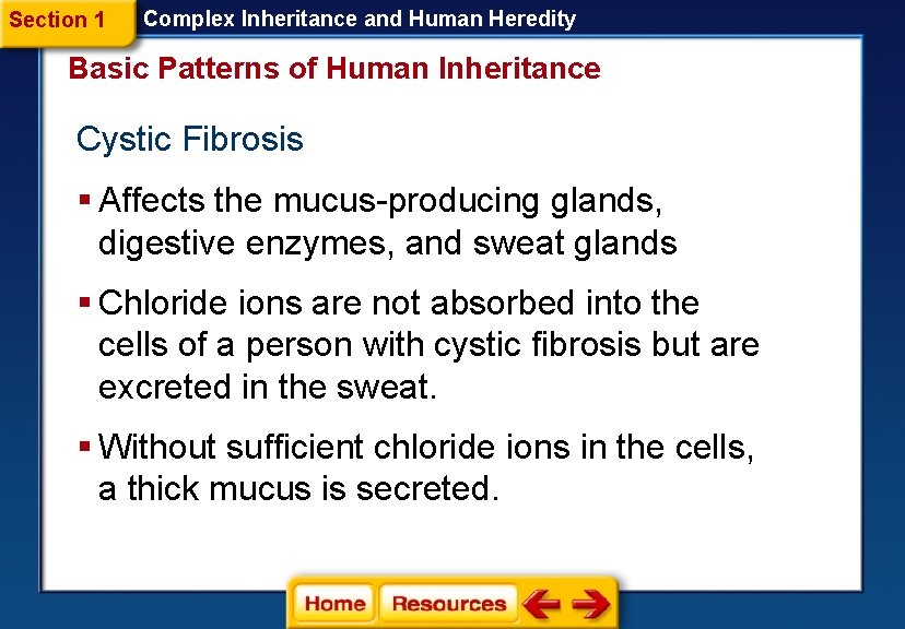 Section 1 Complex Inheritance and Human Heredity Basic Patterns of Human Inheritance Cystic Fibrosis