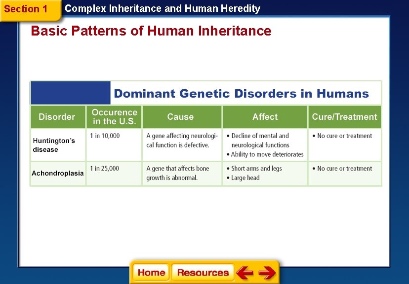 Section 1 Complex Inheritance and Human Heredity Basic Patterns of Human Inheritance 