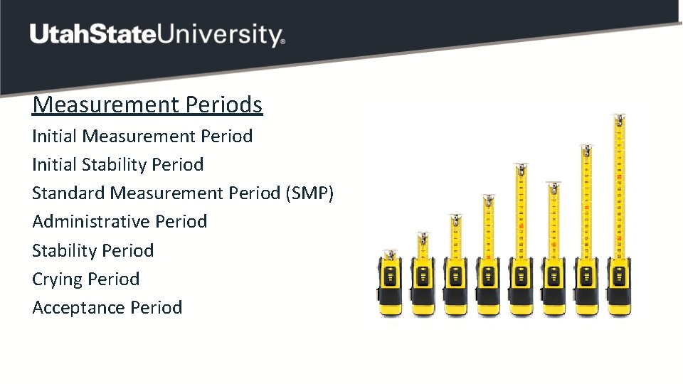Measurement Periods Initial Measurement Period Initial Stability Period Standard Measurement Period (SMP) Administrative Period