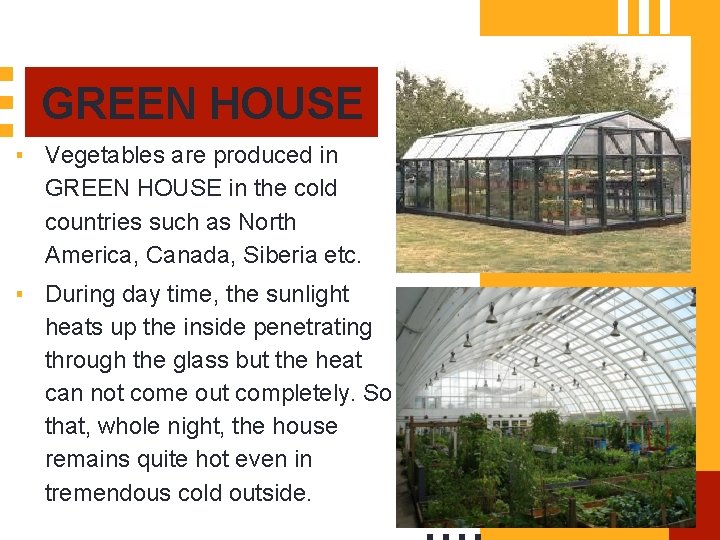 GREEN HOUSE ▪ Vegetables are produced in GREEN HOUSE in the cold countries such