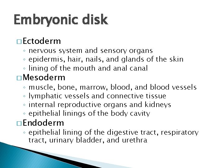 Embryonic disk � Ectoderm ◦ nervous system and sensory organs ◦ epidermis, hair, nails,