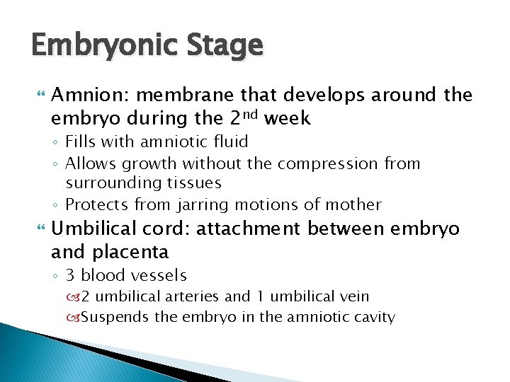 Embryonic Stage Amnion: membrane that develops around the embryo during the 2 nd week