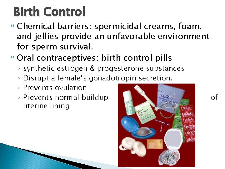 Birth Control Chemical barriers: spermicidal creams, foam, and jellies provide an unfavorable environment for