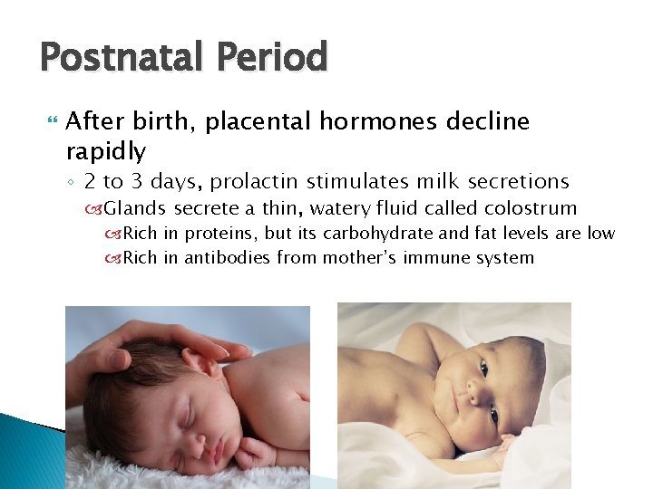Postnatal Period After birth, placental hormones decline rapidly ◦ 2 to 3 days, prolactin