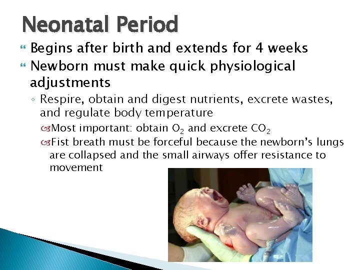 Neonatal Period Begins after birth and extends for 4 weeks Newborn must make quick