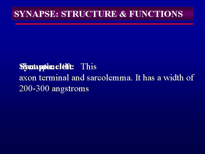 SYNAPSE: STRUCTURE & FUNCTIONS Synaptic the between spacecleft: the This axon terminal and sarcolemma.