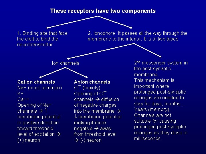 These receptors have two components 1. Binding site that face the cleft to bind