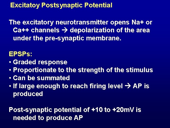 Excitatoy Postsynaptic Potential The excitatory neurotransmitter opens Na+ or Ca++ channels depolarization of the