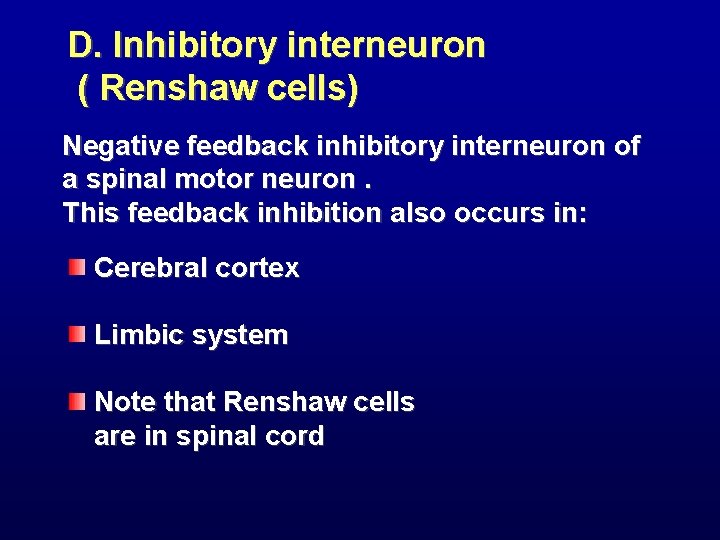 D. Inhibitory interneuron ( Renshaw cells) Negative feedback inhibitory interneuron of a spinal motor