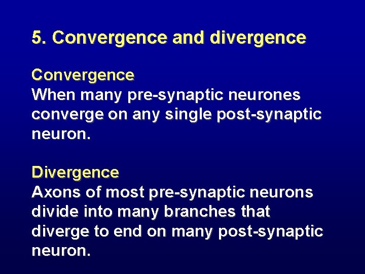 5. Convergence and divergence Convergence When many pre-synaptic neurones converge on any single post-synaptic