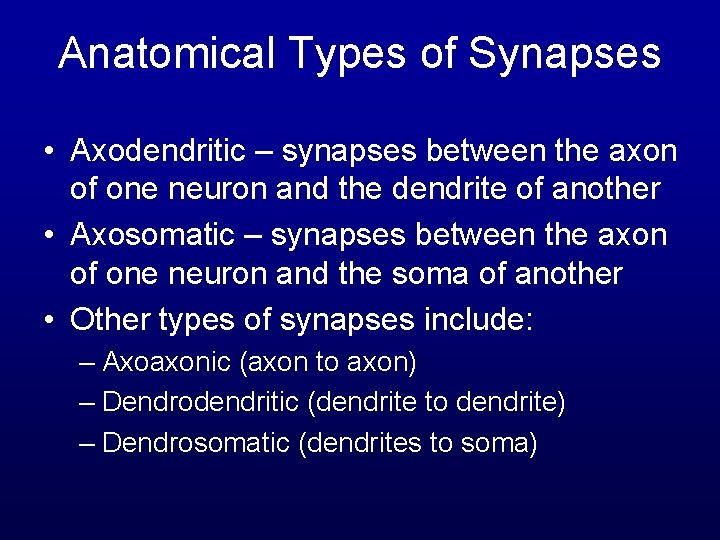 Anatomical Types of Synapses • Axodendritic – synapses between the axon of one neuron