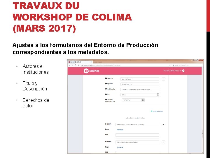 TRAVAUX DU WORKSHOP DE COLIMA (MARS 2017) Ajustes a los formularios del Entorno de