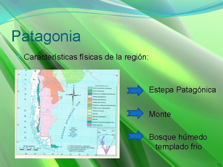 Patagonia • Características físicas de la región: Estepa Patagónica Monte Bosque húmedo templado frio