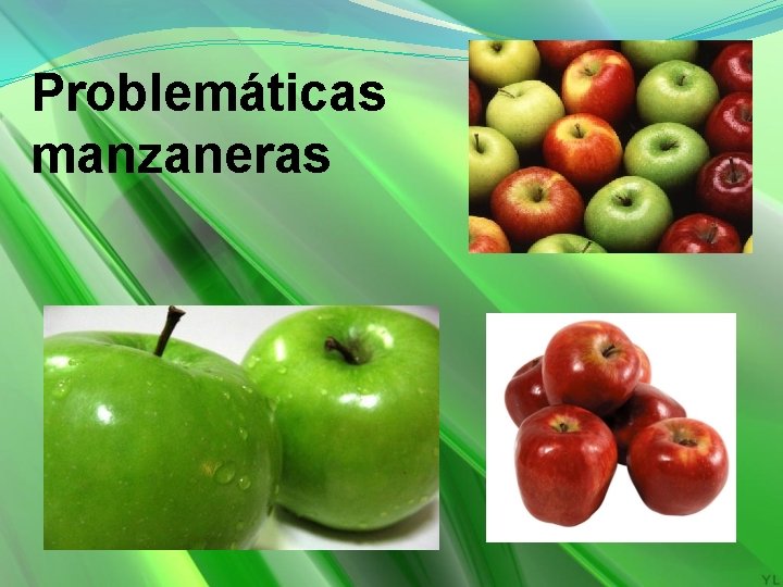 Problemáticas manzaneras 