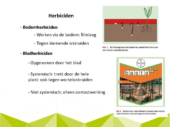 Herbiciden - Bodemherbiciden - Werken via de bodem: filmlaag - Tegen kiemende onkruiden -