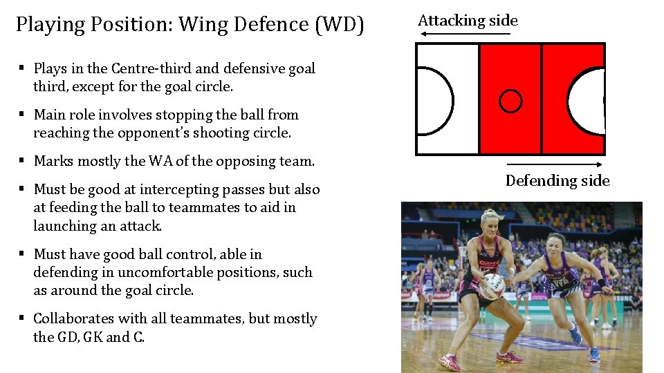 Playing Position: Wing Defence (WD) Attacking side § Plays in the Centre-third and defensive Playing Position: Wing Defence (WD) Attacking side § Plays in the Centre-third and defensive