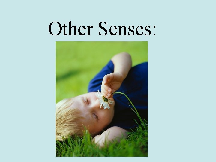 Other Senses: 