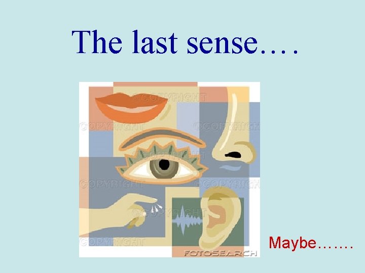 The last sense…. Maybe……. 