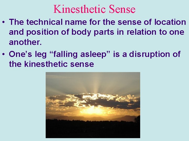 Kinesthetic Sense • The technical name for the sense of location and position of