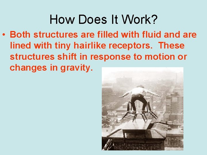 How Does It Work? • Both structures are filled with fluid and are lined