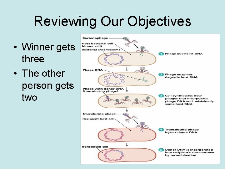 Reviewing Our Objectives • Winner gets three • The other person gets two 