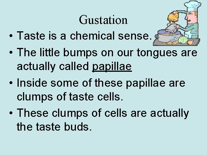 Gustation • Taste is a chemical sense. • The little bumps on our tongues