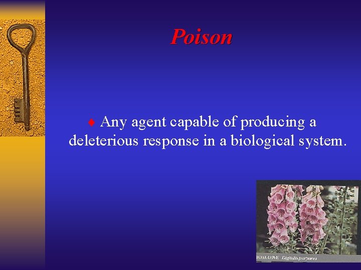 BASIC POISON MANAGEMENT John F Haynes Jr MD