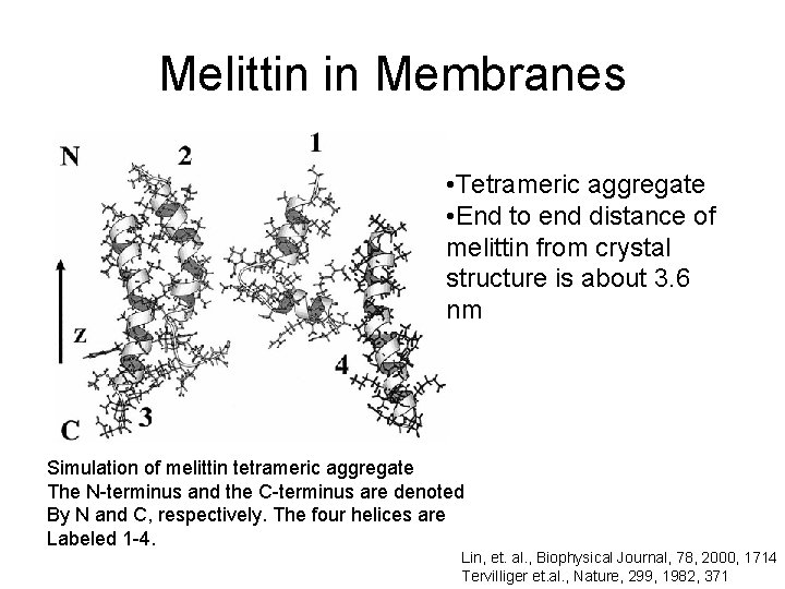Melittin in Membranes • Tetrameric aggregate • End to end distance of melittin from