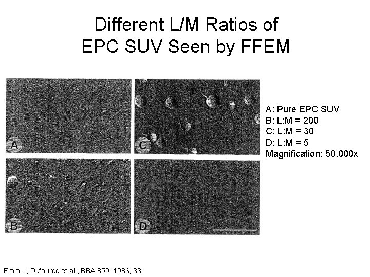 Different L/M Ratios of EPC SUV Seen by FFEM A: Pure EPC SUV B: