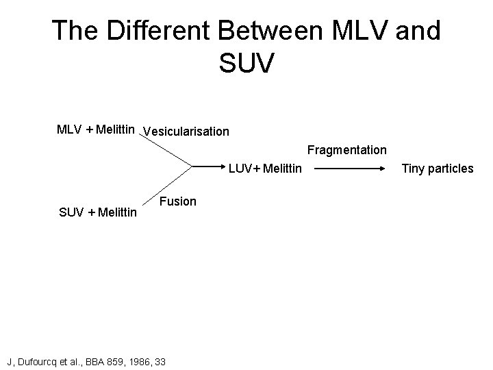 The Different Between MLV and SUV MLV + Melittin Vesicularisation Fragmentation LUV+ Melittin SUV