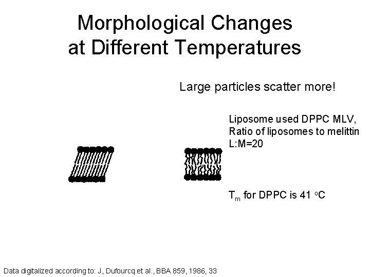 Morphological Changes at Different Temperatures Large particles scatter more! Liposome used DPPC MLV, Ratio