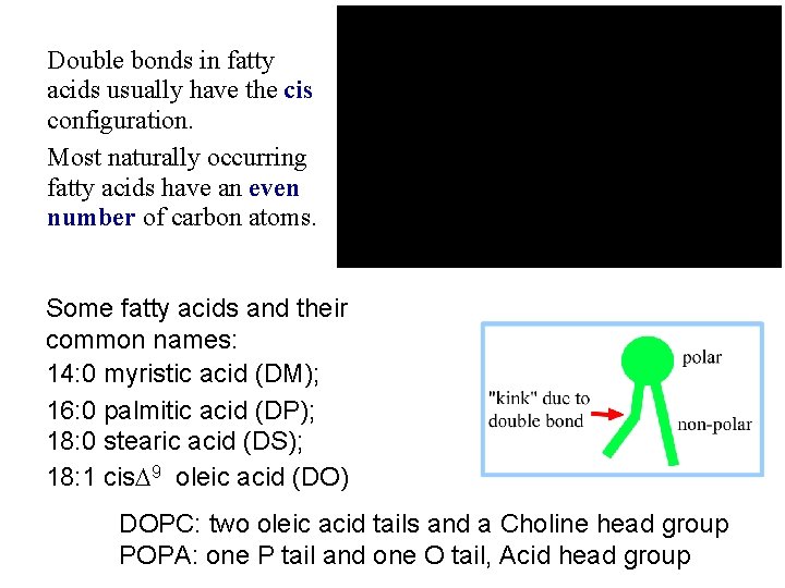 Double bonds in fatty acids usually have the cis configuration. Most naturally occurring fatty