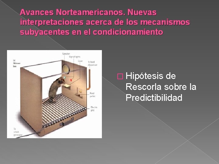 Avances Norteamericanos. Nuevas interpretaciones acerca de los mecanismos subyacentes en el condicionamiento � Hipótesis